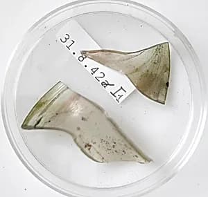 Glass Fragments by Unknown Artist