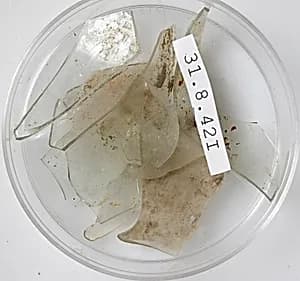 Glass Fragments by Unknown Artist