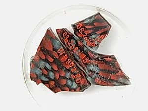 Glass Fragments from a Vessel by Unknown Artist