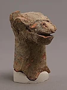 Head of Camel by Unknown Artist