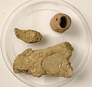 Mud Fragments by Unknown Artist