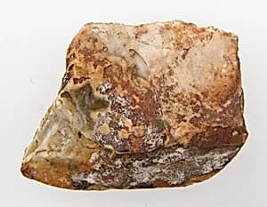 Neolithic Amulet by Unknown Artist