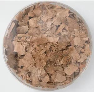 Papyri Fragments by Unknown Artist