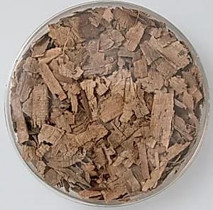 Papyri Fragments by Unknown Artist