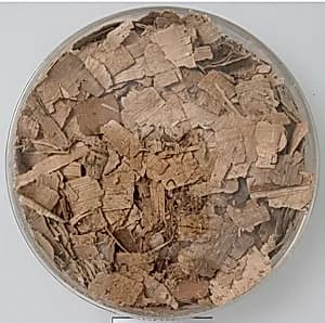 Papyri Fragments by Unknown Artist