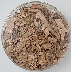 Papyri Fragments by Unknown Artist