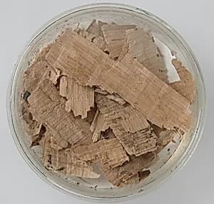 Papyri Fragments by Unknown Artist