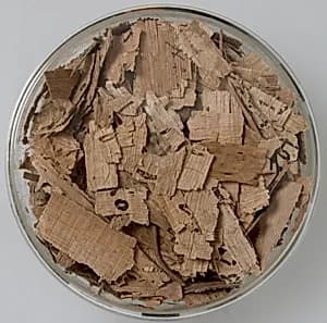 Papyri Fragments by Unknown Artist