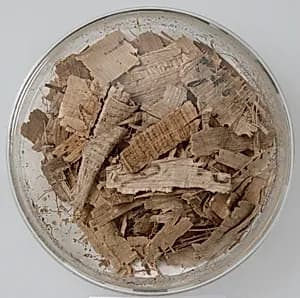 Papyri Fragments by Unknown Artist