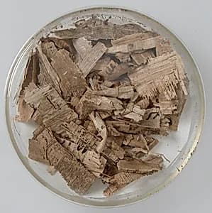 Papyri Fragments by Unknown Artist