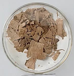 Papyri Fragments by Unknown Artist