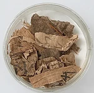 Papyri Fragments by Unknown Artist