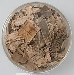 Papyri Fragments by Unknown Artist