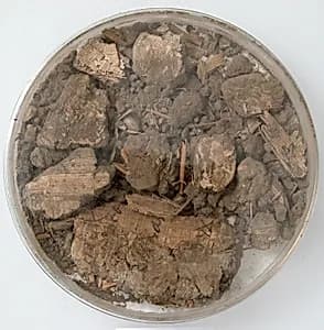 Papyri Fragments and Mud by Unknown Artist