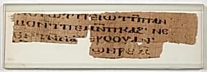 Papyrus by Unknown Artist