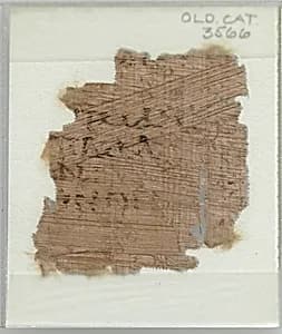 Papyrus Fragment by Unknown Artist