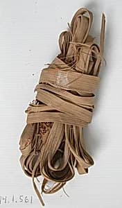 Twist of a Palm Leaf by Unknown Artist