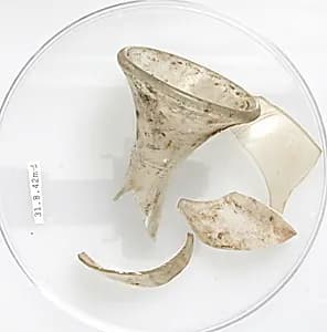 Vessel Fragments by Unknown Artist