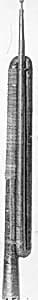 Alpine Horn in G by Unknown Artist