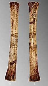 Bone flute by Unknown Artist