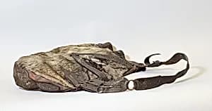 Case for Bagpipe by Unknown Artist