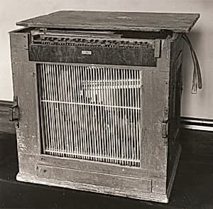 Chest Organ by Unknown Artist