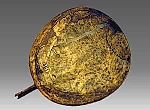 Kelyaut (frame drum) by Northern Alaskan Eskimo; Family: Eskimavan