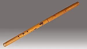 Mystery Flute (Tohono O'odham style) by Unknown Artist