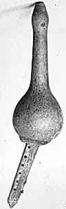 Pūngī by Unknown Artist