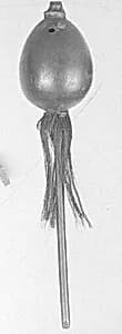 Rattle by Unknown Artist
