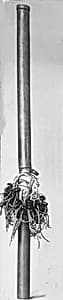 Stamping tube or Rattle staff by Unknown Artist