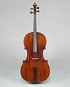 Violoncello