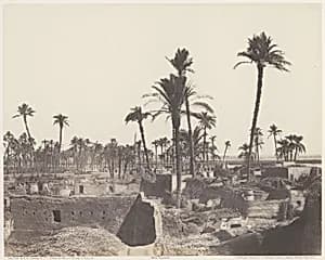 Abâzîz, Intérieur d'un Village Arabe by Félix Teynard|Imprimerie Photographique de H. de Fonteny et Cie