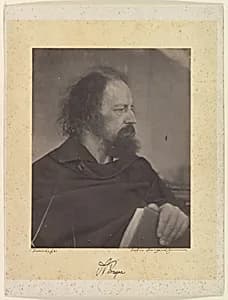 Alfred, Lord Tennyson by Julia Margaret Cameron