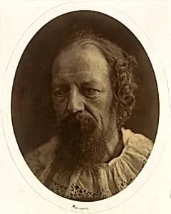 Alfred, Lord Tennyson by Julia Margaret Cameron