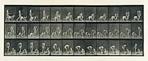 Animal Locomotion. An Electro-Photographic Investigation of Consecutive Phases of Animal Movements. Commenced 1872 - Completed 1885. Volume IV, Women (Nude) by Eadweard Muybridge