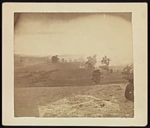 [Antietam Battlefield] by Alexander Gardner