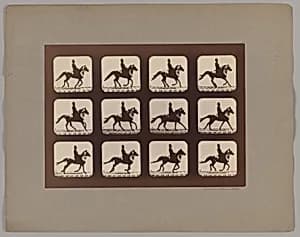 Attitudes of Animals in Motion by Eadweard Muybridge