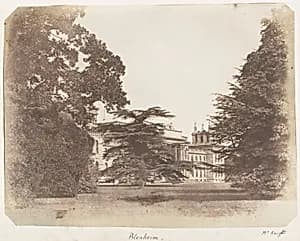 Blenheim