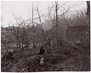Bull Run. Blackburn's Ford by Timothy H. O'Sullivan|Mathew B. Brady