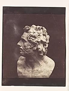 Bust of Patroclus by William Henry Fox Talbot