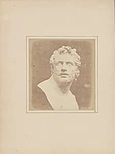 Bust of Patroclus by William Henry Fox Talbot