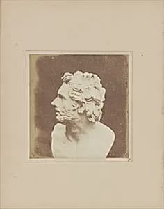 Bust of Patroclus by William Henry Fox Talbot