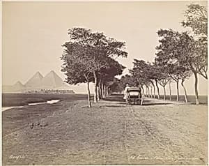 Caire. Allée de Pyramides by Félix Bonfils