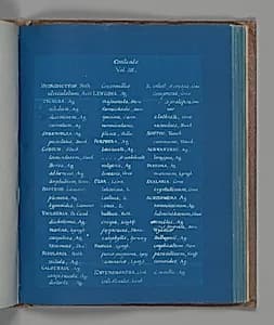 Contents, Vol. III by Anna Atkins