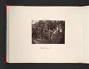 Country Scenery by John Thomson