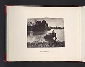 Elephant Bathing by John Thomson