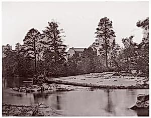 [Fallen Tree, Bull Run, Virginia] by Andrew Joseph Russell|George N. Barnard|Timothy H. O'Sullivan|Mathew B. Brady