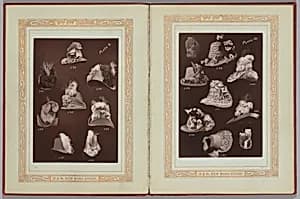 Fashions 1837-1887 by William Charles Brown