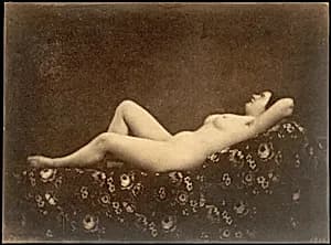 [Female Nude, Reclining, in Profile]